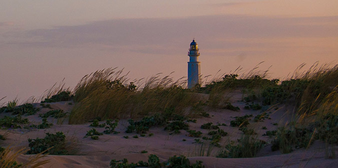 Las Playas Vírgenes de Cádiz