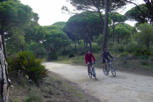 Bicicleta en el Sendero del Acantilado La Brena
