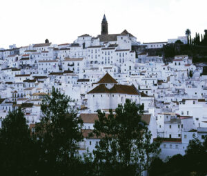 Alcala de Los Gazules