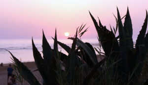 07 Puesta de Sol en el carril de la Aceitera