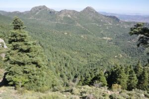 sierra de grazalema