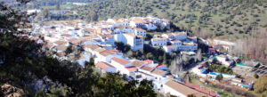 El Bosque