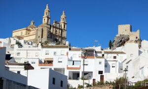 Olvera