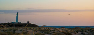 Playa del Faro de Trafalgar
