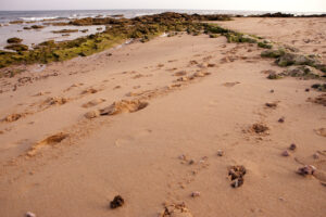 Playa de Zahora