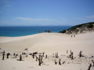 Duna natural de Bolonia