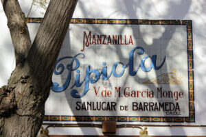 Manzanilla Pipiola en Sanlucar de Barrameda