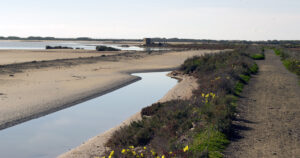 Parque Natural Bahia de Cadiz Rio Arillo