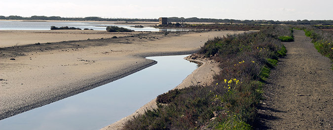 Bahía de Cádiz