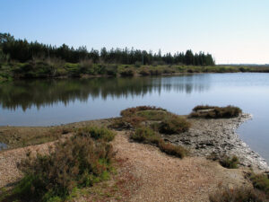 Parque Nacional de Donana.jpg