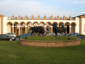 Bodega Jerez de la Frontera