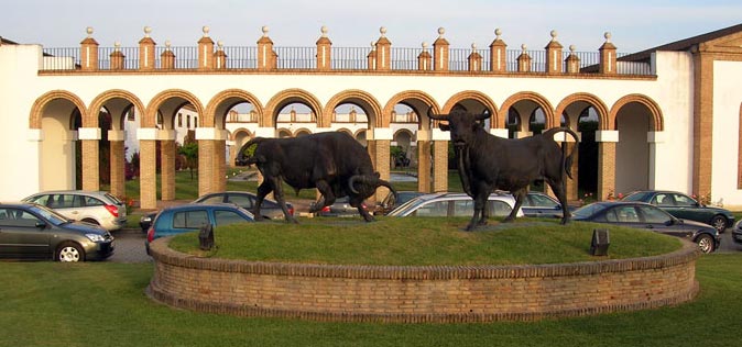 Campiña de Jerez