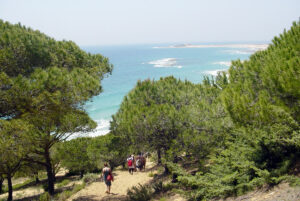 parque natural la brena