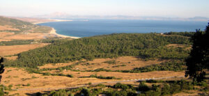 Bolonia y Tarifa