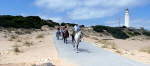 Caballos en el Faro de Trafalgar