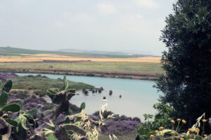 El Prado Conil de la Frontera
