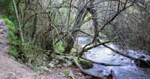 El Rio Majaceite El Bosque Benamahoma