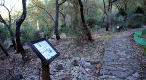 Jardin Botanico El Bosque