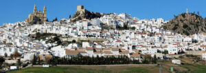 Olvera