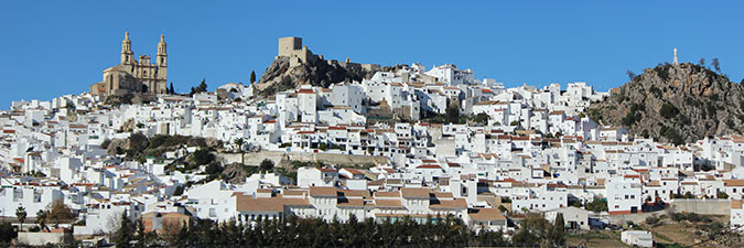 Olvera