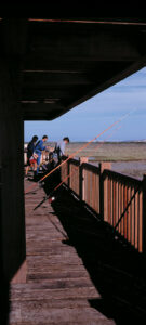 Parque de Los Torunos Bahia de Cadiz