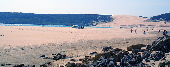 Bolonia