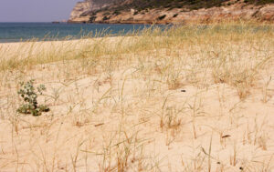 Playa de la Yerbabuena