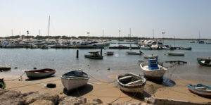 Puerto de Sancti Petri