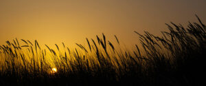 Puesta de Sol Trafalgar