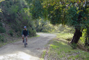 Ruta de Los Molinos Alcornocales Tarifa