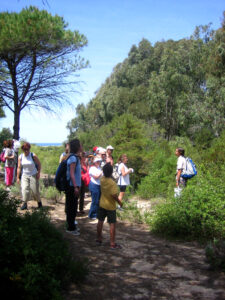 Ruta del Faro Camarinal a Bolonia