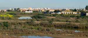SAn Fernando desde el Rio Arillo