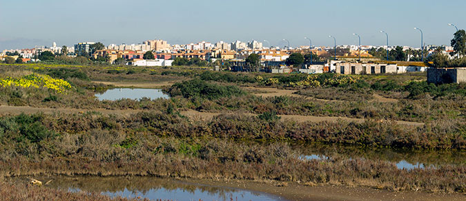 San Fernando
