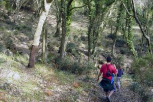 Sendero Canuto de Risco Blanco Alcornocales