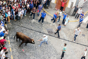 Toro Embolao Arcos de la Frontera 10