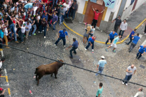 Toro Embolao Arcos de la Frontera 11