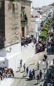 Toro Embolao Arcos de la Frontera 3