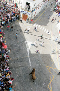 Toro Embolao Arcos de la Frontera 6