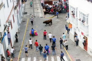 Toro Embolao Arcos de la Frontera 7