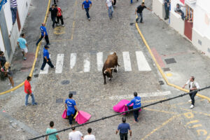 Toro Embolao Arcos de la Frontera 8