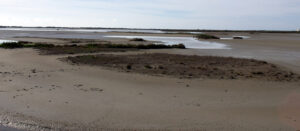 Parque Natural Bahia de Cadiz Rio Arillo