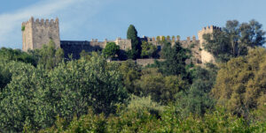 Castillo de Castellar de la Frontera