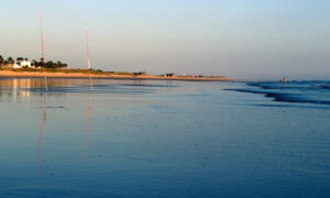 El Palmar