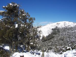 El Pichacho nevado en Alcala de los Gazules