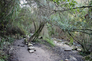 El Rio Majaceite El Bosque Benamahoma