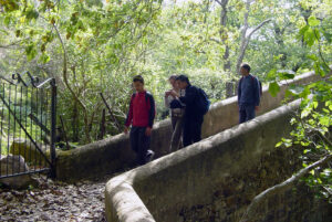 El Rio de la Miel Alcornocales