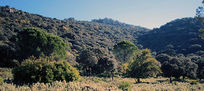 Sierra de Grazalema