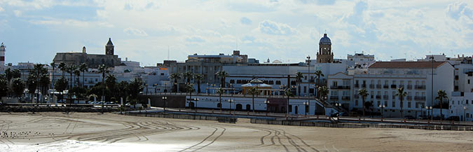 Rota