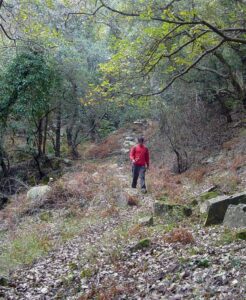 Sendero Canuto de Risco Blanco Alcornocales