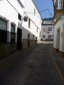 el bosque